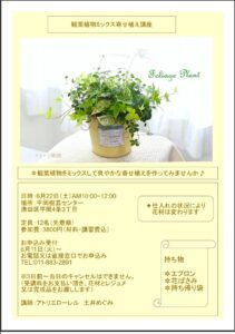 観葉植物ミックス寄せ植え