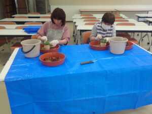 多肉寄せ植え講座6