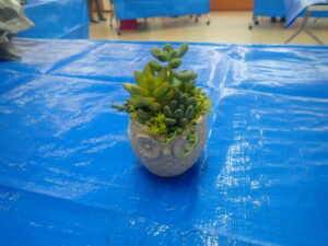 多肉寄せ植え講座8