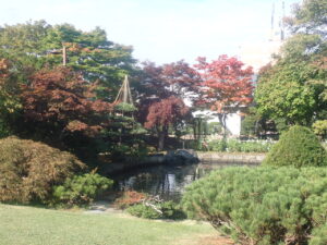 日本庭園の紅葉