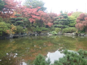 日本庭園の紅葉