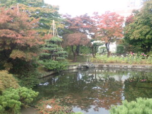 日本庭園の紅葉