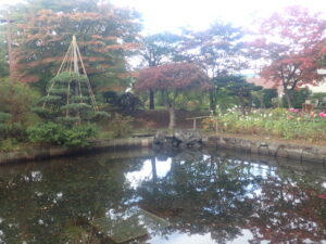 日本庭園の紅葉2