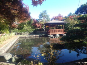 日本庭園の紅葉2 