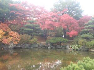 日本庭園の紅葉