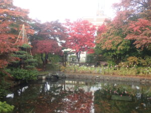 日本庭園の紅葉2