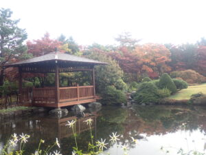 日本庭園の紅葉3