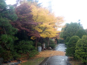 園路の紅葉3