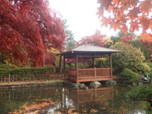 日本庭園の紅葉3