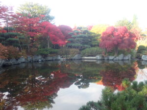 日本庭園の紅葉