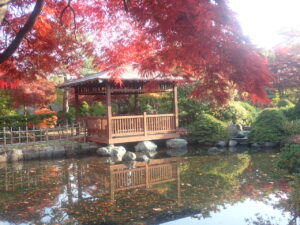 日本庭園の紅葉2
