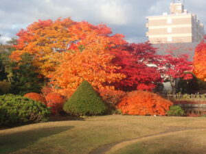 日本庭園の紅葉4