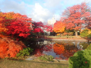 日本庭園の紅葉2