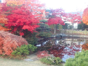 日本庭園の紅葉2