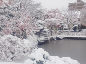 日本庭園の雪と紅葉
