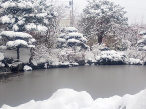 日本庭園の雪と紅葉2