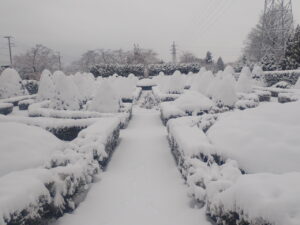 西洋庭園の雪景色