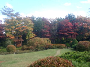 日本庭園の紅葉