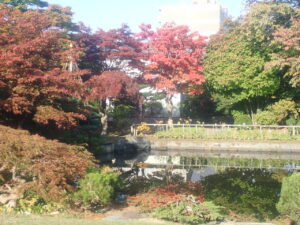日本庭園の紅葉