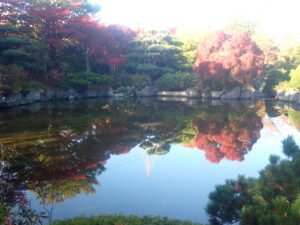 日本庭園の紅葉