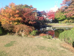 日本庭園の紅葉