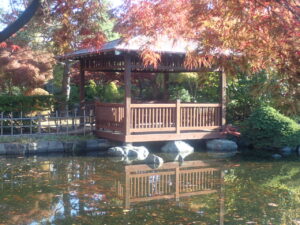 日本庭園の紅葉