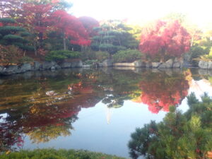 日本庭園の紅葉