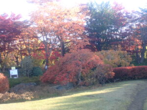 日本庭園の紅葉