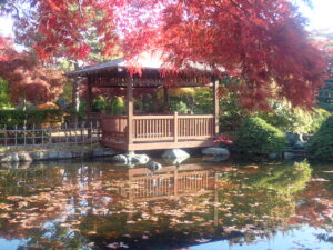 日本庭園の紅葉