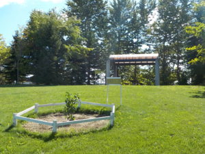 「いよいよ、今週末は川下公園の秋まつりですよ！」の画像