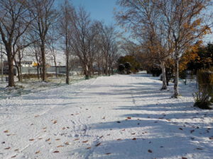 「パークゴルフ場の休場のお知らせ」の画像