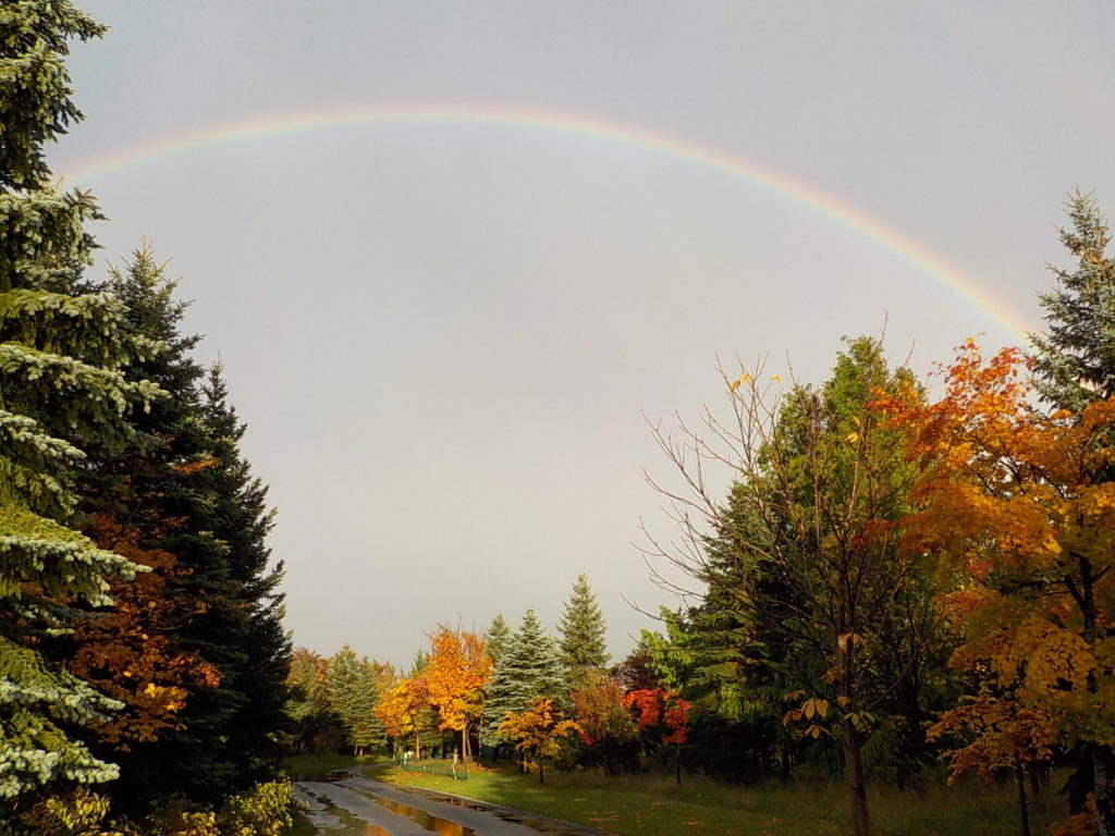 「灰色の空に架かる虹」の画像