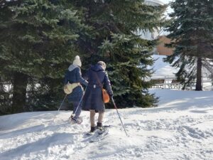 「歩くスキー＆スノーシューレンタル終了のお知らせ」の画像