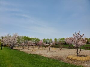 「ピクニック広場のオープンについて」の画像