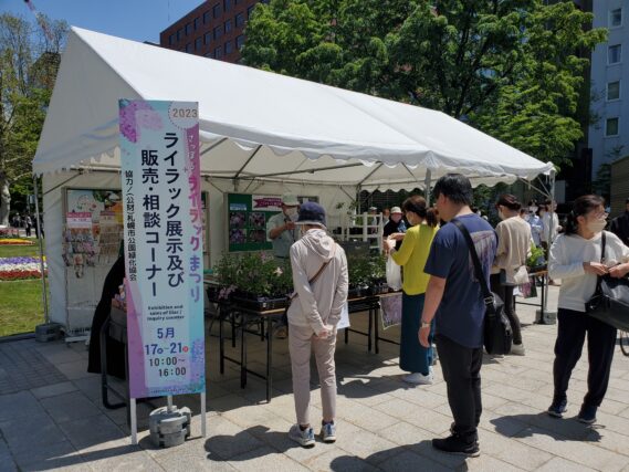 「ライラックまつり大通会場開催中！」の画像