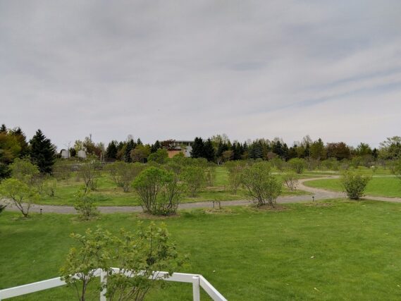 ライラックの森全景