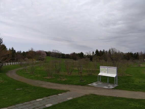 「ライラック情報」の画像