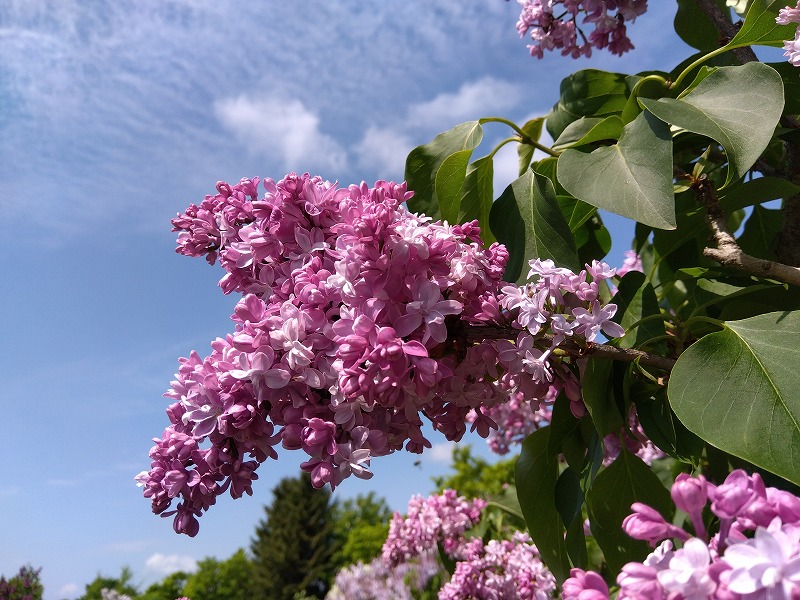「落雷の為、電話不通！」の画像