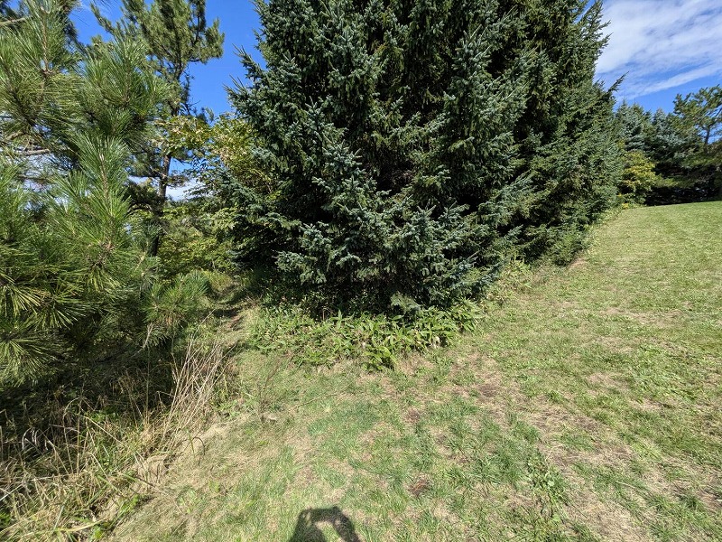 パークゴルフ場10番に抜ける入口