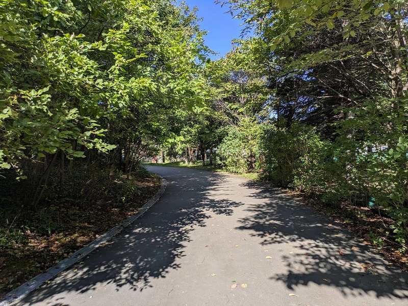 木々の中囲まれた園路画像