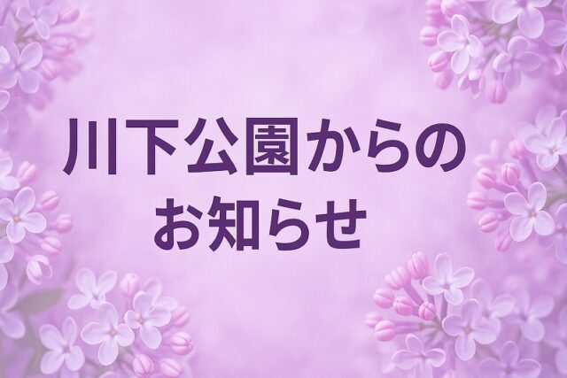 「プール内ジャグジーの使用について（再開しました）」の画像