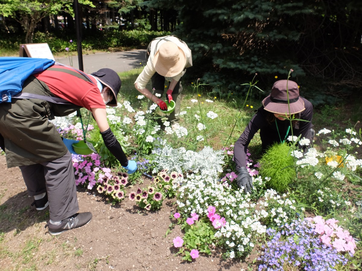 さっぽろまちづくりガーデニング講座のイメージ