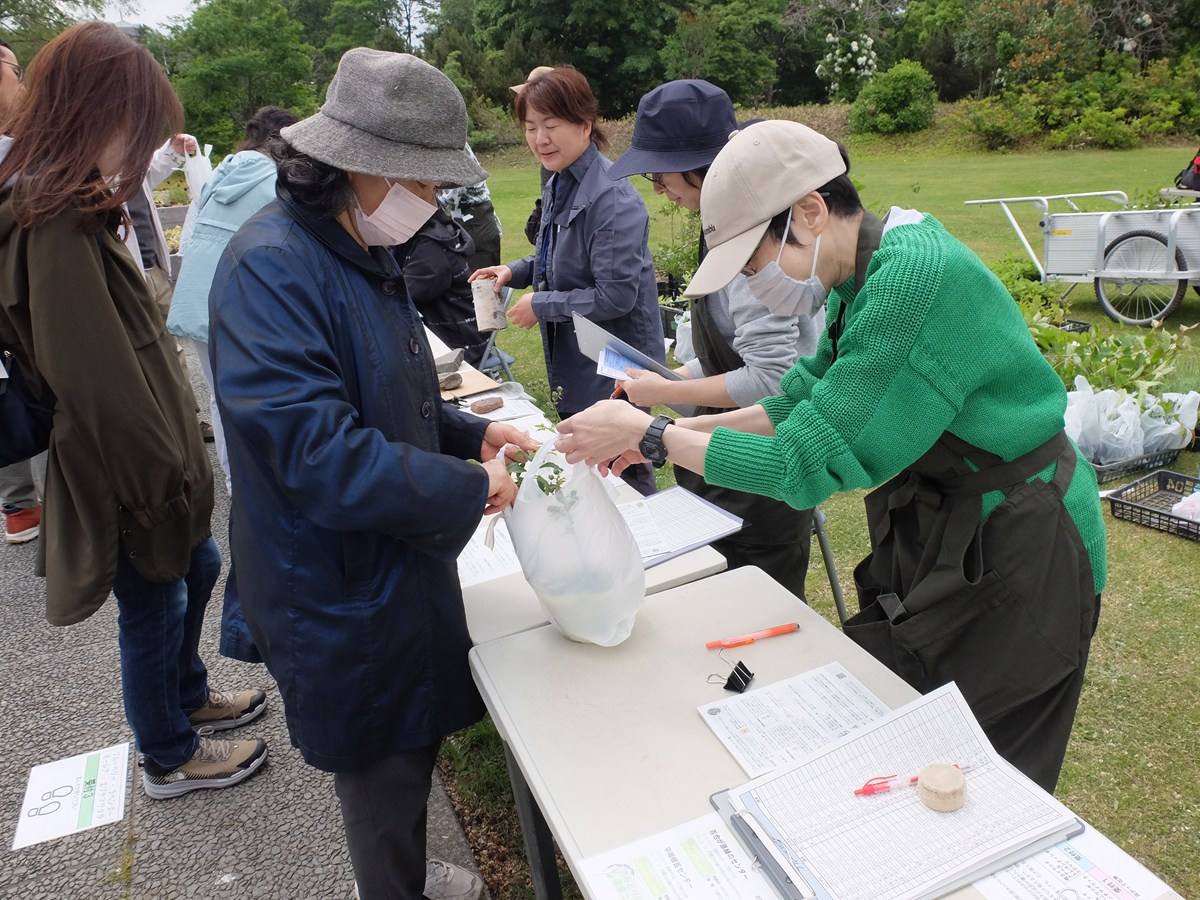 記念樹プレゼントのイメージ