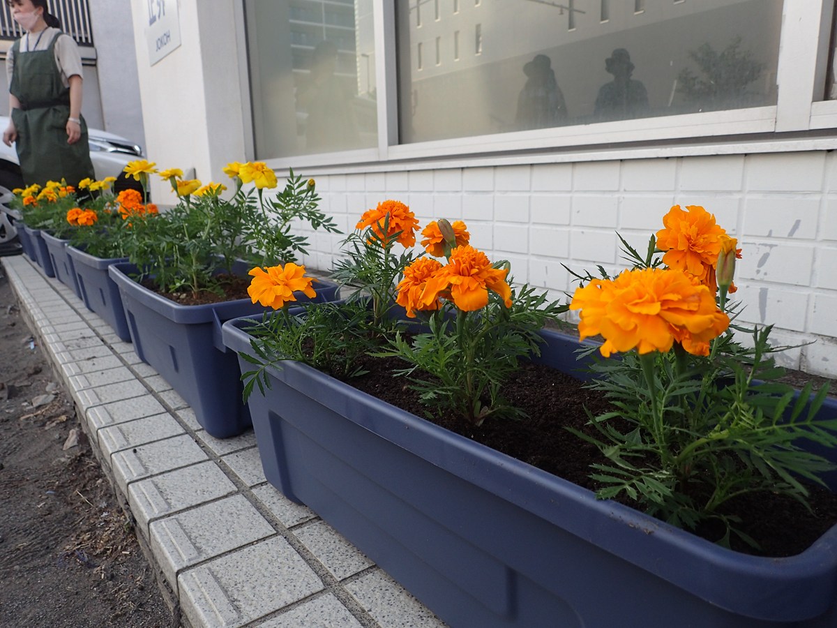 フラワーポットの貸し出しのイメージ