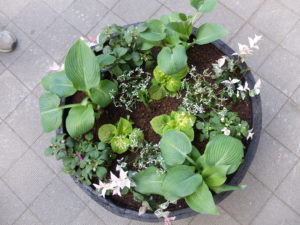 センター前コンテナアップ(5月18日)