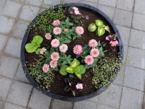 センター前コンテナアップ(5月18日)