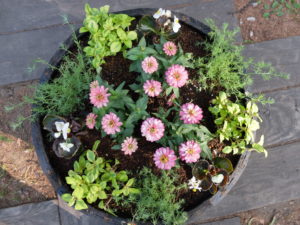 案内看板付近コンテナアップ(5月18日)