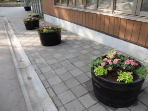 センター横コンテナ 5月18日の様子