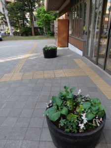 センター前 5月18日の様子