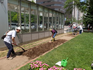 土おこしの様子